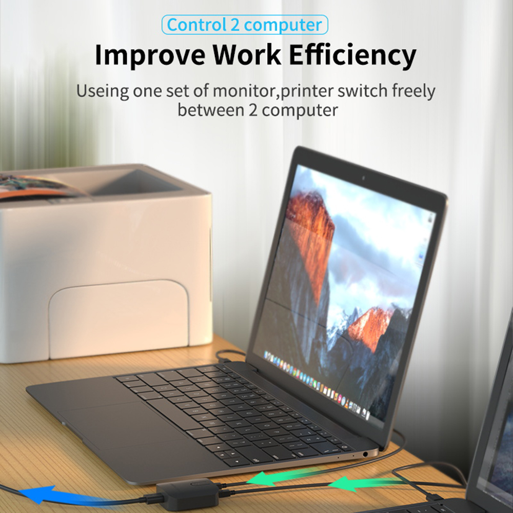 Selector de caja de interrupto - Laptop Mouse reseña y precio